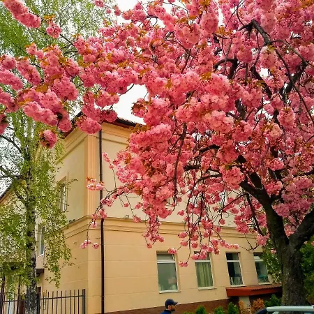 Hostel Na Pidgradskiy Uzhhorod